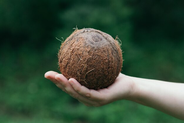 Close-up of hand holding bread