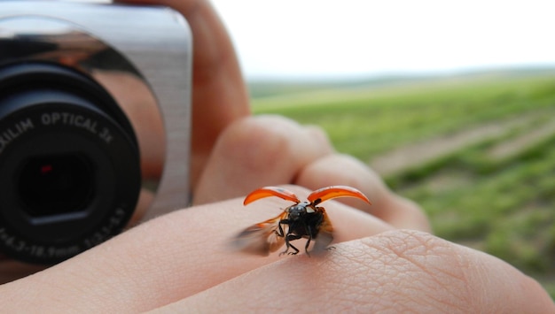 Photo close-up of hand holding camera