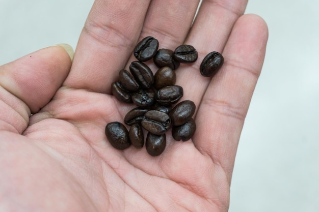 Close-up of hand holding coffee beans