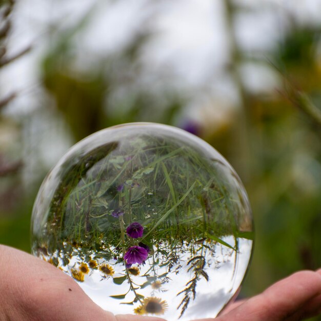 Photo close-up of hand holding crystal ball against plants