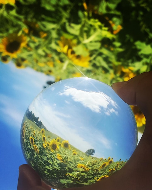 Foto close-up di una mano che tiene una palla di cristallo contro il cielo