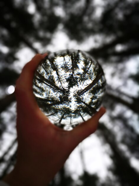 Foto close-up di una mano che tiene una palla di cristallo in mezzo agli alberi