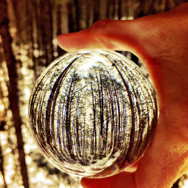 Close-up of hand holding crystal ball