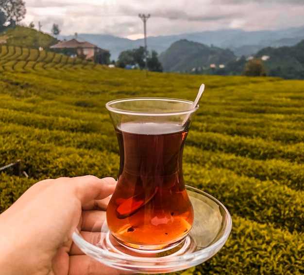 Photo close-up of hand holding drink in field