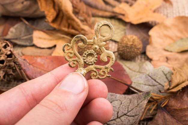 Photo close-up of hand holding dry leaf