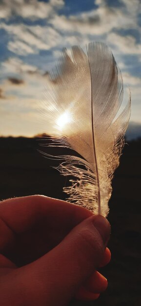 Foto close-up di una mano che tiene una piuma contro il cielo durante il tramonto