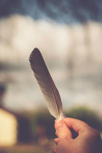 Photo close-up of hand holding feather