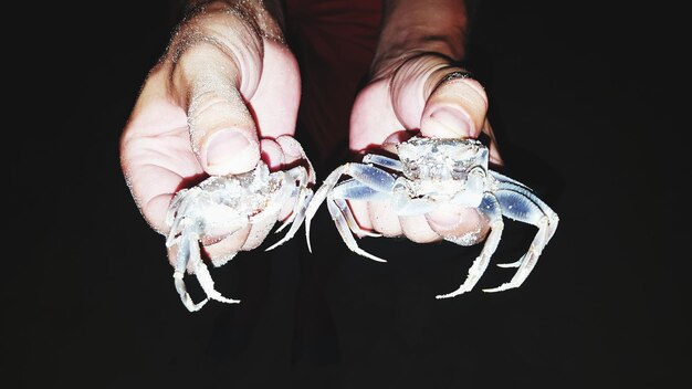 Foto close-up di una mano che tiene un pesce su uno sfondo nero