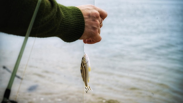 Foto close-up di una mano che tiene un pesce in mare