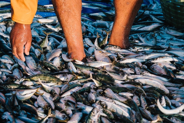 手で釣る魚のクローズアップ