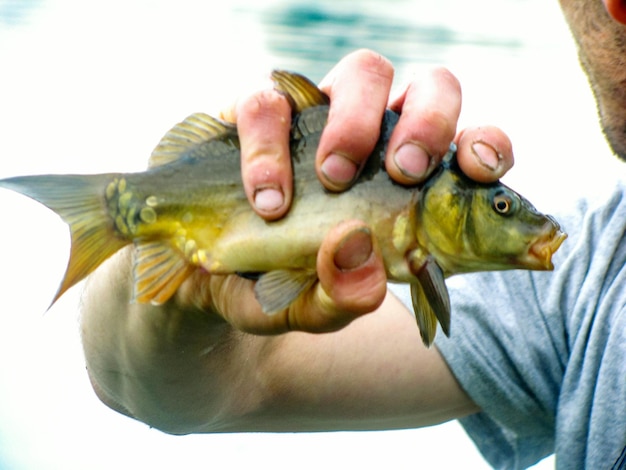 Foto prossimo piano di pesci che tengono la mano