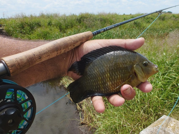 Foto prossimo piano di una canna da pesca a mano