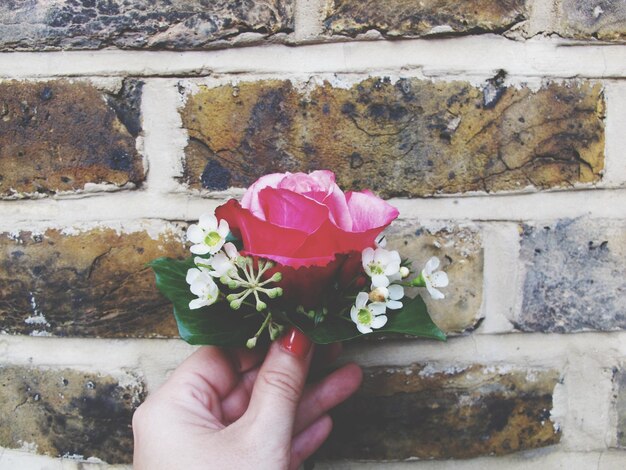 Photo close-up of hand holding flowers