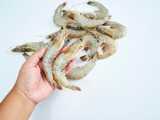 Foto close-up della mano che tiene il cibo su uno sfondo bianco