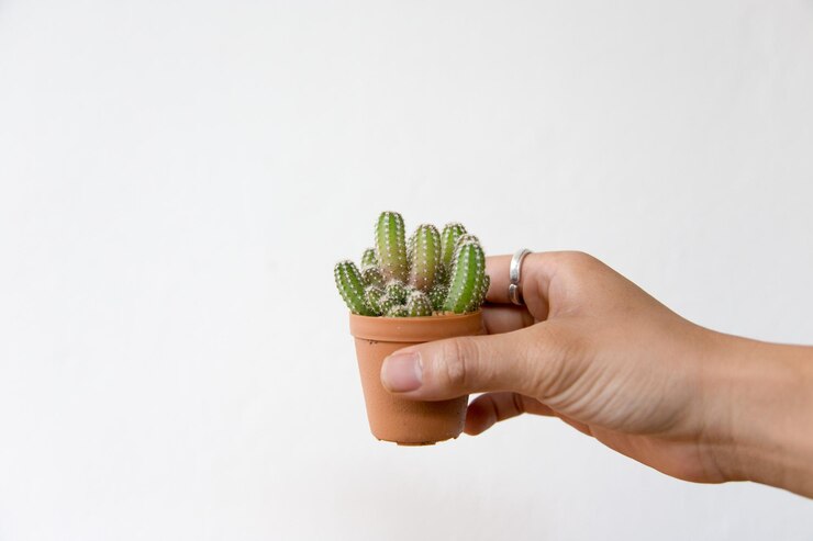 Photo close-up of hand holding food over white background