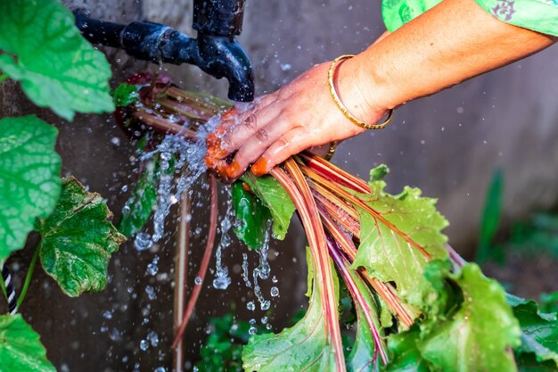 Close-up of hand holding food