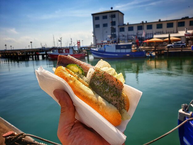 Close-up of hand holding fresh fish at habour site