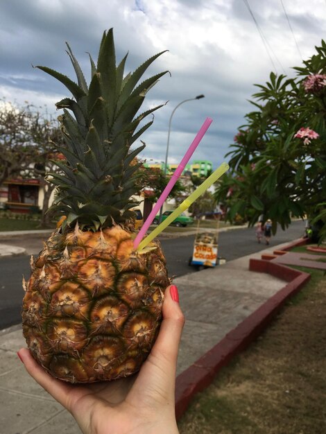 Foto close-up di una mano che tiene la frutta contro gli alberi