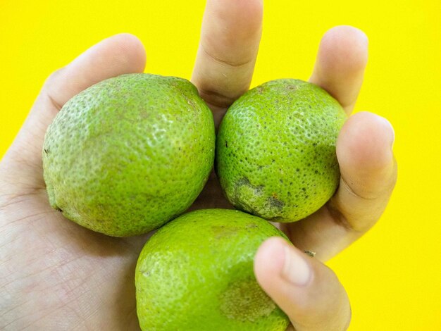 Close-up of hand holding fruit over white background