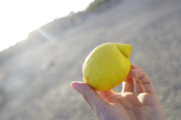 Close-up of hand holding fruit