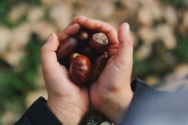 Close-up of hand holding fruit