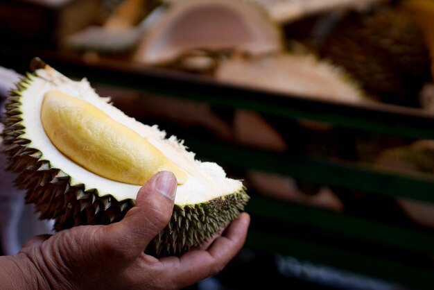 Close-up of hand holding fruit