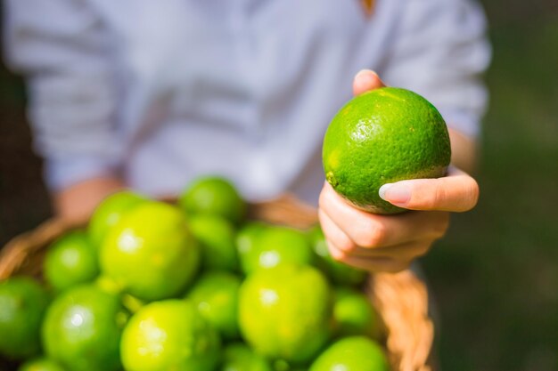 Close-up of hand holding fruit