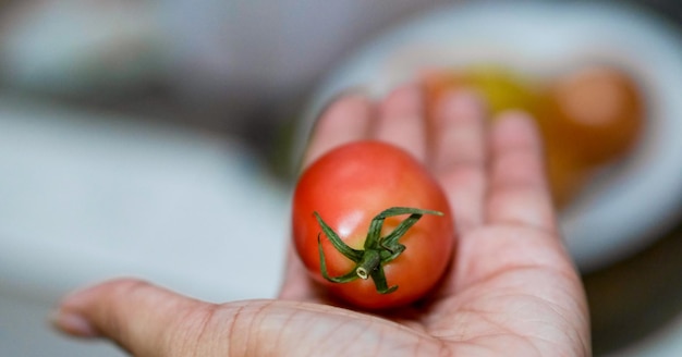 Photo close-up of hand holding fruit