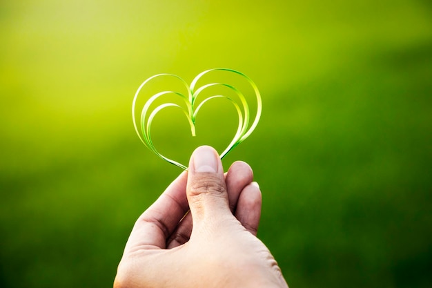 close-up of hand holding heart shape leaf