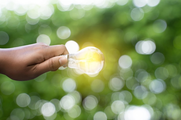 Foto close-up di una mano che tiene una lampadina illuminata contro gli alberi