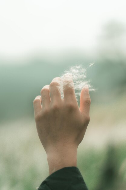 Photo close-up of hand holding leaf against sky