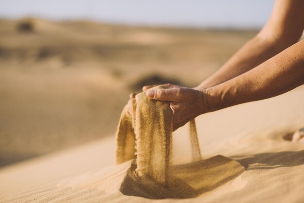 Photo close-up of hand holding leaf at beach