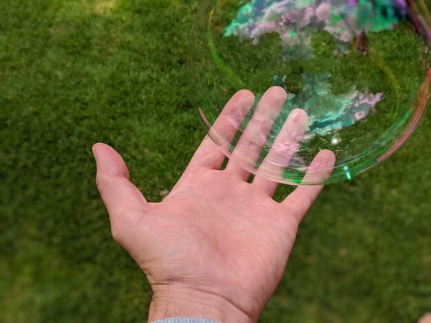 Close-up of hand holding leaf on grass