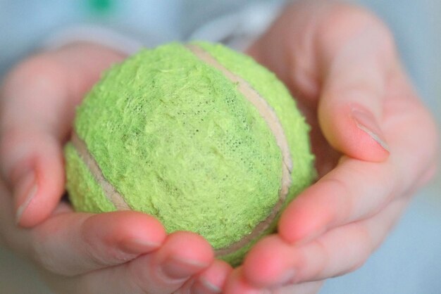 Close-up of hand holding leaf