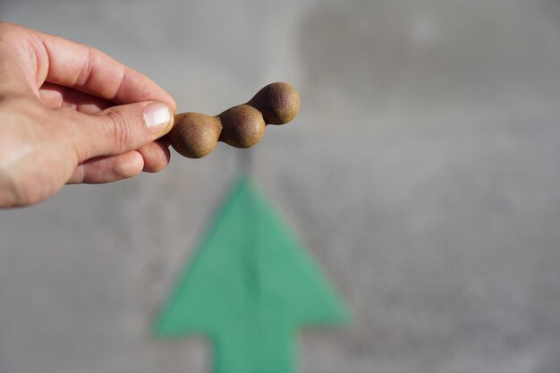 Close-up of hand holding leaf