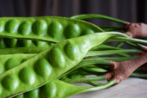 Close-up of hand holding leaf