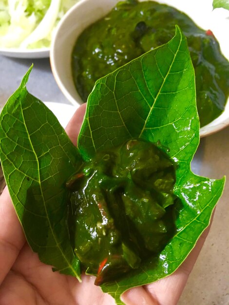 Photo close-up of hand holding leaves