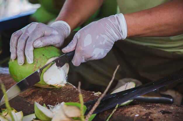 Photo close-up of hand holding leaves