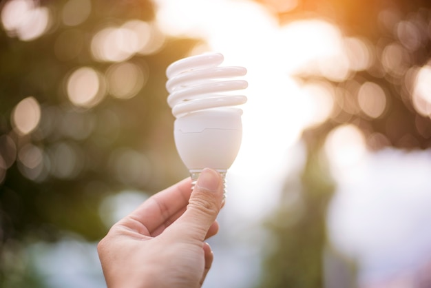 Close up hand holding light bulb