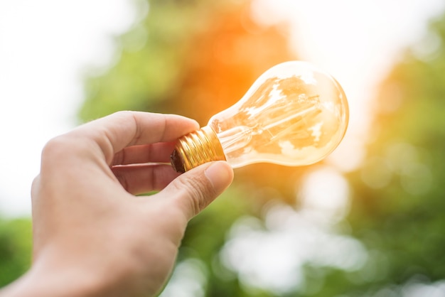 Close up hand holding light bulb