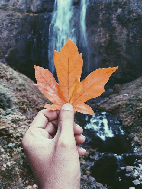 Foto close-up di una mano che tiene una foglia di acero durante l'autunno