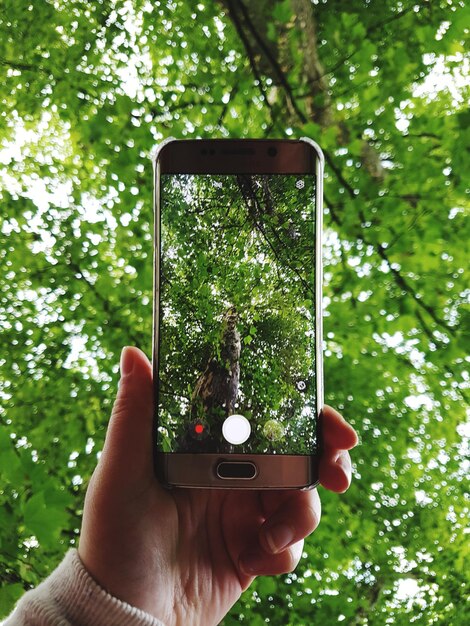 Foto close-up di una mano che tiene un telefono cellulare