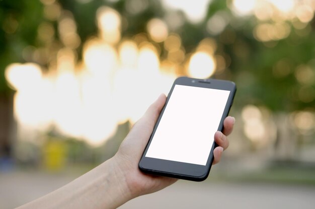 Close-up of hand holding mobile phone