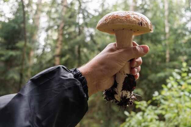 Photo close-up of hand holding mushroom