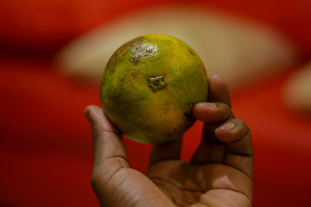 Photo close-up of hand holding orange