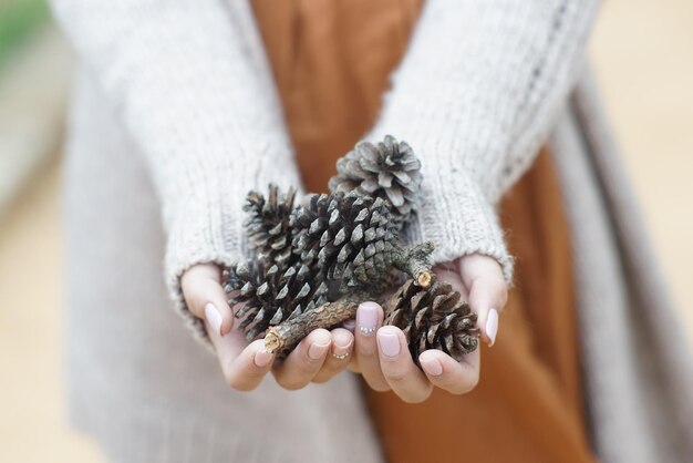 Close-up of hand holding pine cones