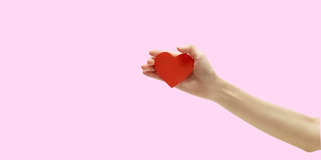 Photo close-up of hand holding pink leaf against white background