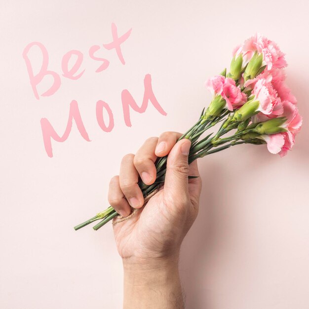 Close-up of hand holding pink roses against white background