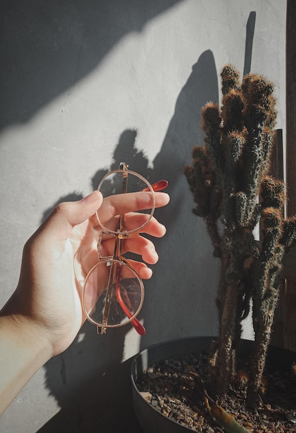 Photo close-up of hand holding plant against wall