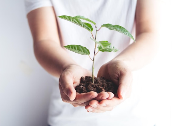 Close-up of hand holding plant against white background